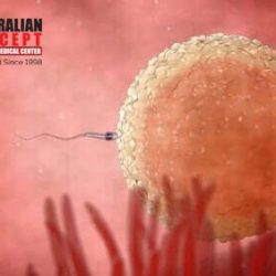 ivf 7