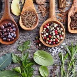 herbal-medicine