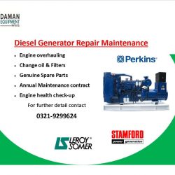 DG Set Repairing