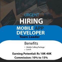 mobile app developer 11-01