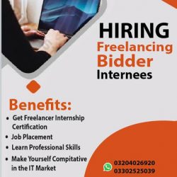 freelancer bidder 19-01