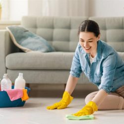 woman-doing-cleaning-the-house