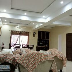 IMG20230324151152