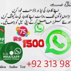 Whatsapp 1