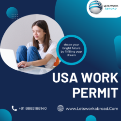 USA work permit image-LWA