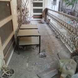 IMG20240302172811