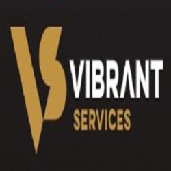 Vibrant Services v